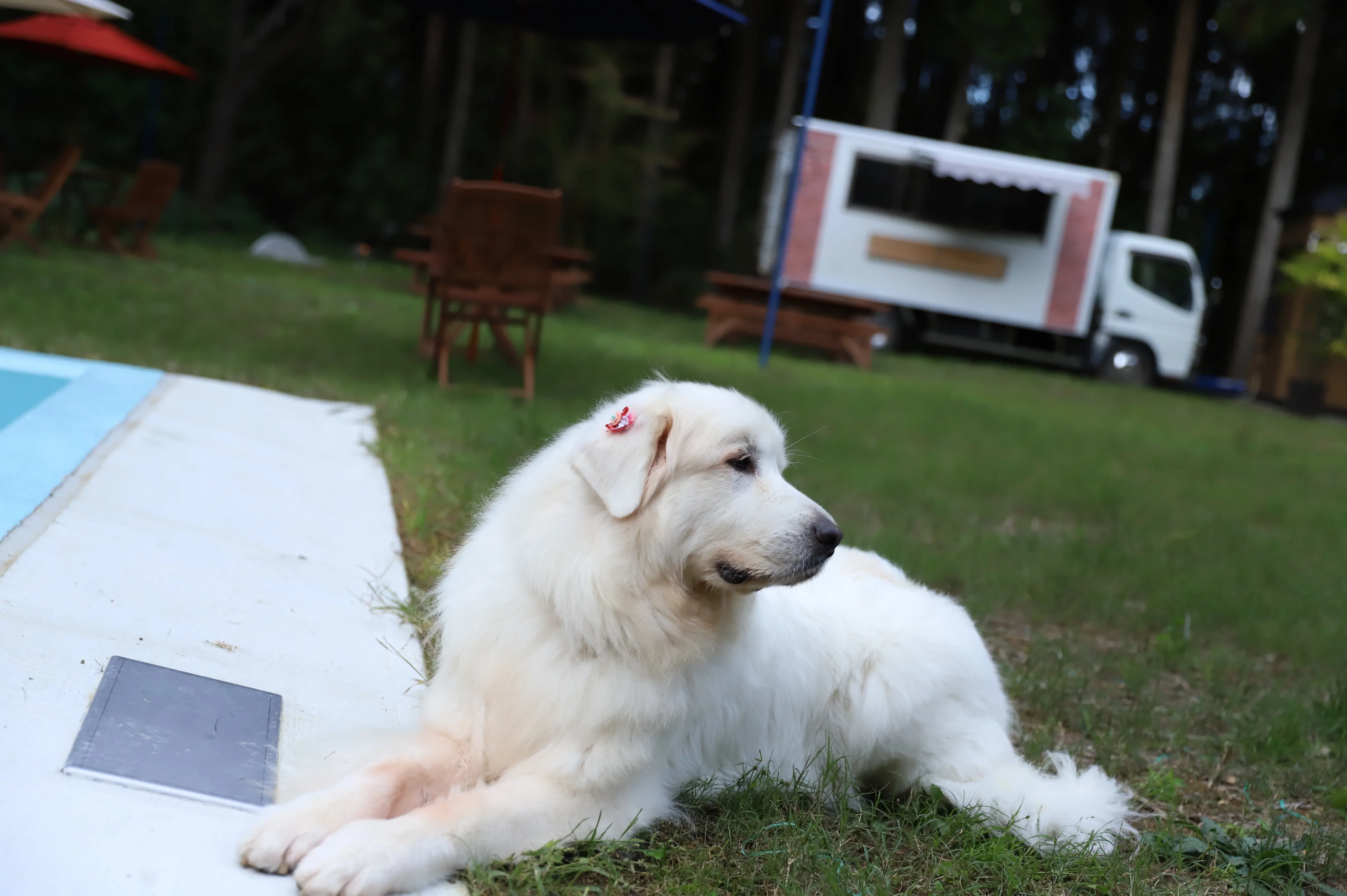 カフェスペース