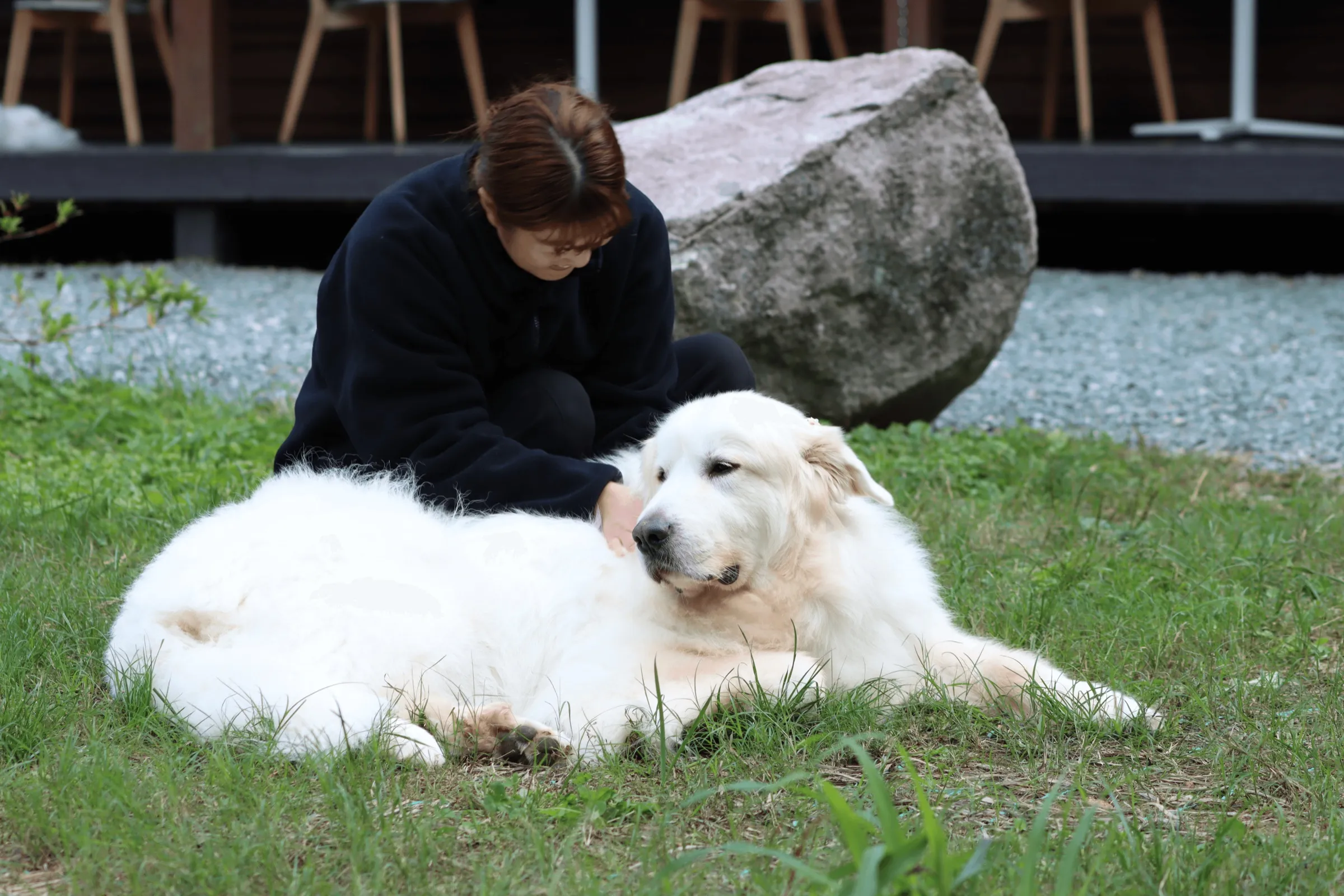 犬と過ごすやすらぎの時間