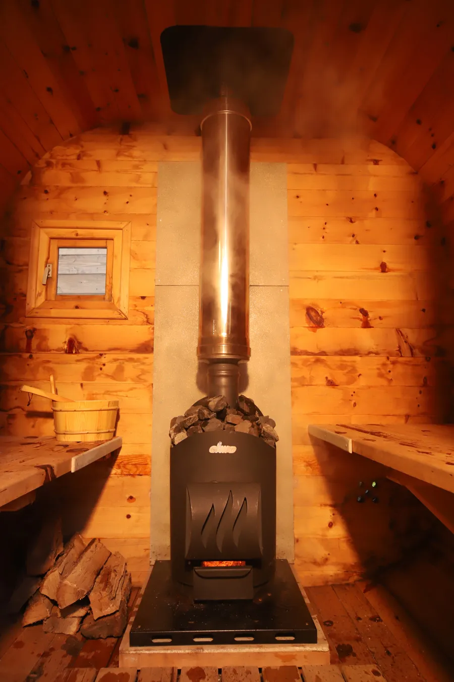 ドッグランの様子