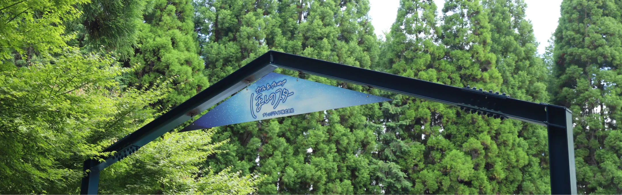 ほしのスター ゲート