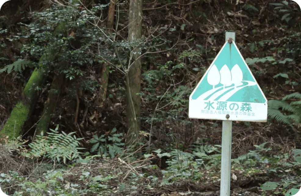 無添加シャンプー