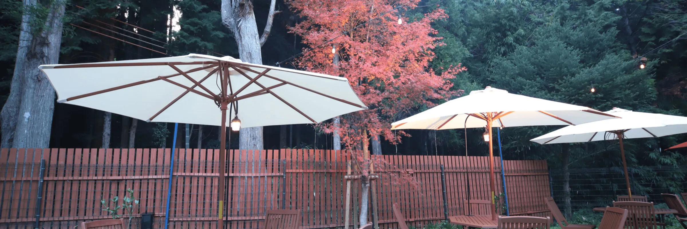 キャンプ場の夕景