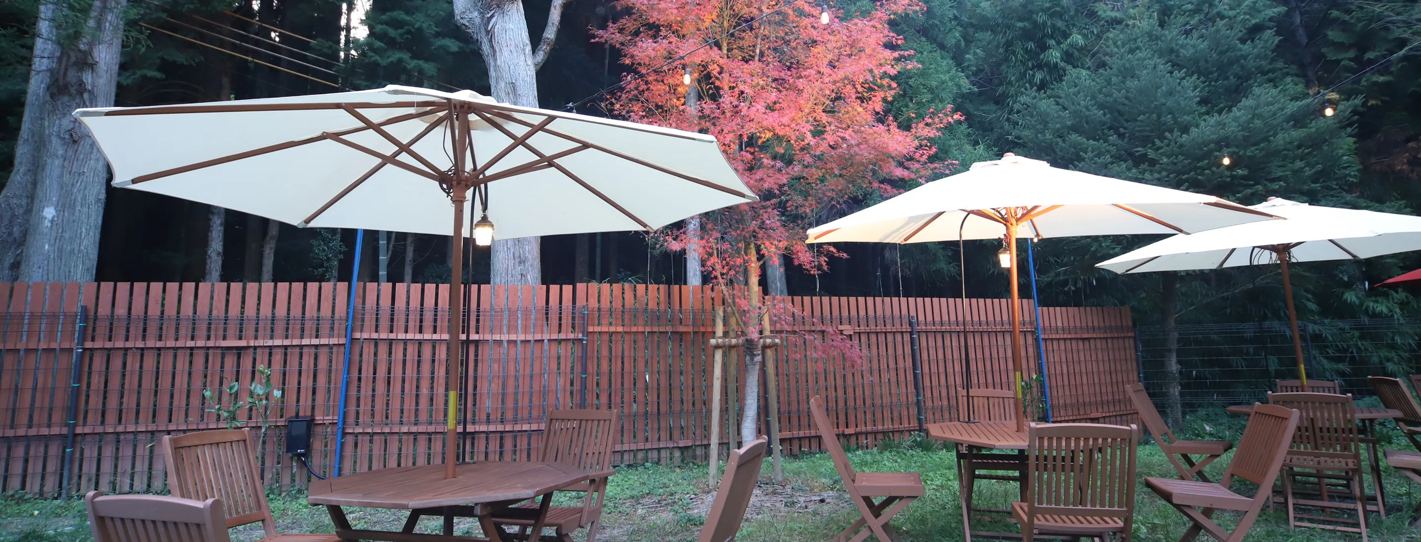 キャンプ場の夕景