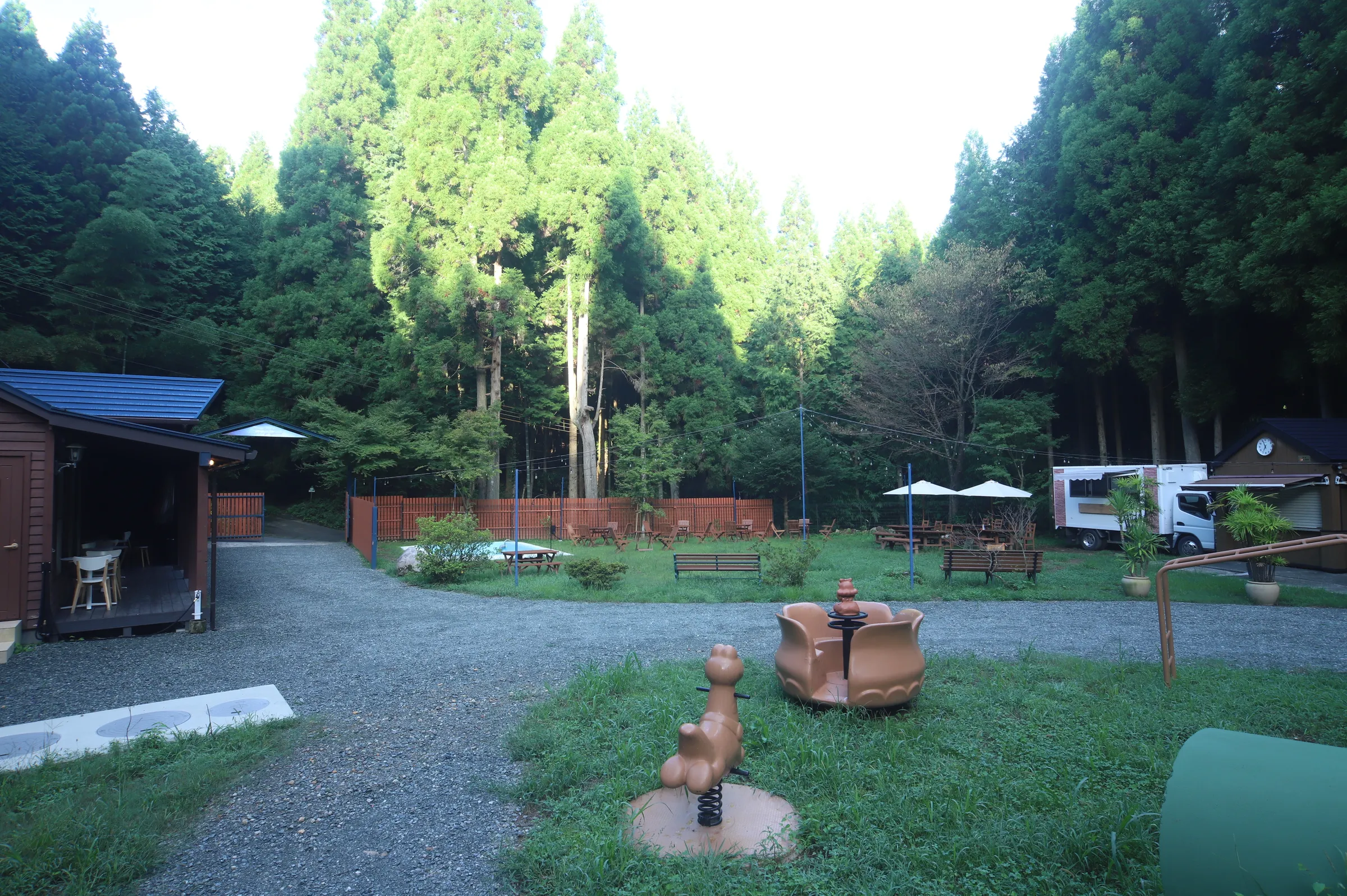 一年中楽しめる星野村のキャンプ場｜春〜初夏のおすすめの過ごし方「ほしのスター」