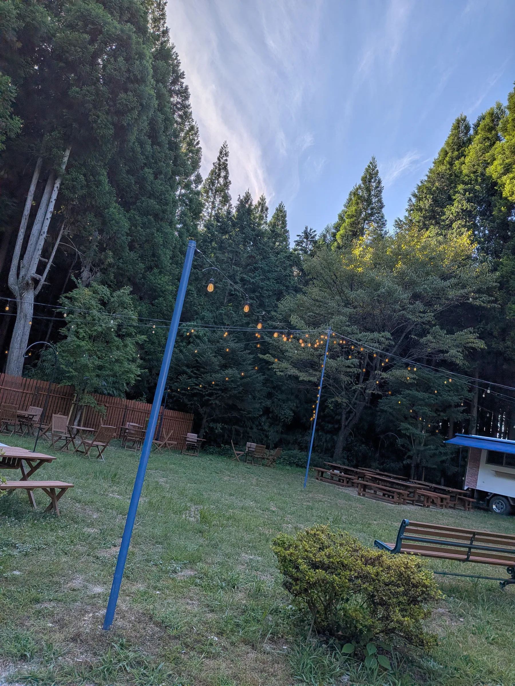 自然あふれる　ほしのスター